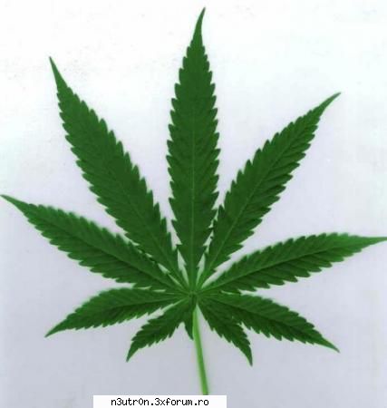 re all u playerzz !! wait 4 my site . the best in hip-hop mu$ic. cannabi$ mu$ic is coming over ur